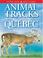 Cover of: Animal Tracks of Quebec