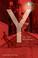 Cover of: Y in the Shadows