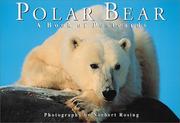 Cover of: Polar Bear: A book of postcards (Firefly Postcard Book)