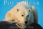 Cover of: Polar Bear