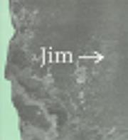 Cover of: Jim->