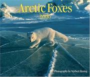 Cover of: Arctic Foxes 2006