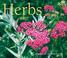 Cover of: Herbs 2007 (Calendar)