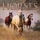 Cover of: Horses 2004 Wall Calendar