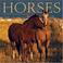 Cover of: Horses 2005 16-month Wall Calendar