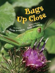 Cover of: Bugs Up Close by Diane Swanson
