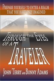 Cover of: Through the Eyes of a Traveler | John Terry