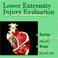 Cover of: Lower Extremity Injury Evaluation