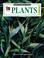 Cover of: Plants