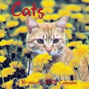 Cover of: Cats 16-Month 2001 Calendar