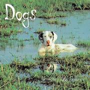 Cover of: Dogs 16-Month 2001 Calendar