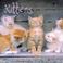 Cover of: Kittens 16-Month 2001 Calendar
