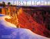 Cover of: First Light 2002 Calendar