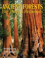 Cover of: Ancient Forests 2004 Calendar: Big Trees & Redwoods : Save America's Forests