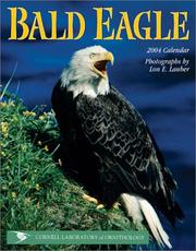 Cover of: Bald Eagle 2004 Calendar