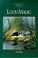 Cover of: Loon Magic