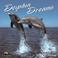 Cover of: Dolphin Dreams 2002 Calendar