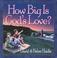 Cover of: How Big Is God's Love?