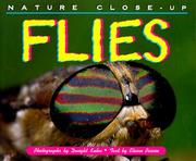 Cover of: Nature Close-Up - Flies (Nature Close-Up)