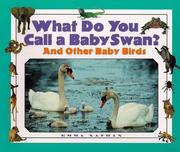 Cover of: What Do You Call a Baby - Swan? And Other Baby Birds (What Do You Call a Baby) by Emma Nathan