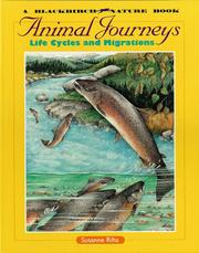Cover of: Animals in the Wild - Animal Journeys