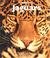 Cover of: Jaguars (Naturebooks)