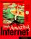 Cover of: Simply Amazing Internet for Macintosh