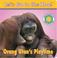 Cover of: Orang Utan's Play Time (Let's Go To The Zoo!)