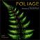 Cover of: Foliage 2004 Calendar
