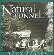 Cover of: Natural Tunnel by Tony Scales