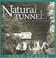 Cover of: Natural Tunnel