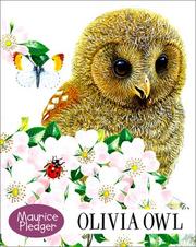 Cover of: Olivia Owl