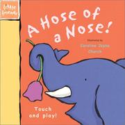 Cover of: A Hose for a Nose!: Touch and Play! (Little Friends Series)
