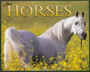 Cover of: Just Horses 2004 Calendar