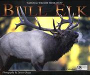 Cover of: Bull Elk 2004 Calendar
