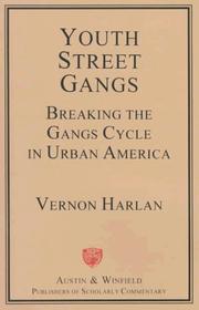 Cover of: Youth Street Gangs: Breaking the Gangs Cycle in Urban America