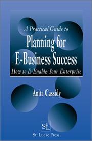 Cover of: A Practical Guide to Planning for E-Business Success:  How to E-enable Your Enterprise