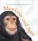 Cover of: Monkeys and Apes