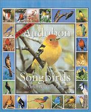 Cover of: Audubon 365 Songbirds Calendar 2002 by 