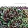 Cover of: Hardy Succulents