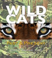 Cover of: Wild Cats: Past & Present (Darby Creek Exceptional Titles)