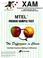 Cover of: MTT - French Sample Test (Mtel Series)