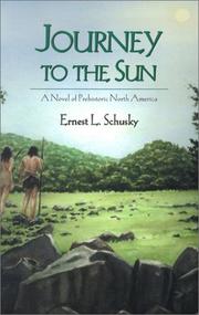 Cover of: Journey to the Sun by Ernest Lester Schusky