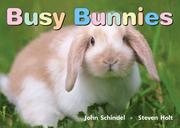 Cover of: Busy Bunnies | John Schindel