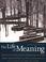 Cover of: The Life of Meaning