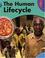 Cover of: The Human Lifecycle (Body Science)