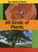 Cover of: All Kinds Of Plants (The World of Plants)