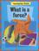Cover of: What Is a Force? (Investigating Science)