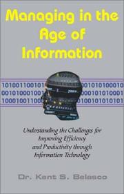 Cover of: Managing in the Age of Information: Understanding the Challenges for Improving Efficiency and Productivity Through Information Technology