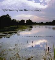 Cover of: Reflections of the Brazos Valley by D. Gentry Steele, M. Jimmie Killingsworth